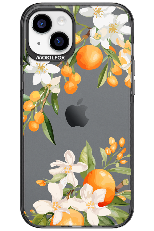 Amalfi Orange 2.0 - Apple iPhone 15 Plus