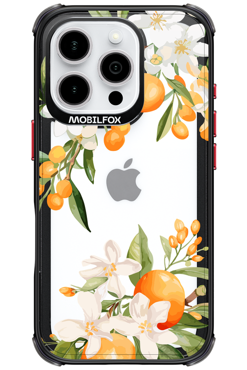 Amalfi Orange 2.0 - Apple iPhone 16 Pro