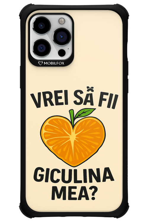 Design Clean 2.0 - Apple iPhone 12 Pro Max